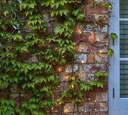 Solar Outdoor Lit Climbing Ivy Garland