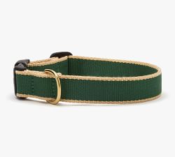 Two-Tone Collar with 5' Leash