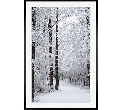 Winter Trail by Cindy Taylor