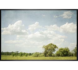 Spring Clouds And Meadow by Lupen Grainne