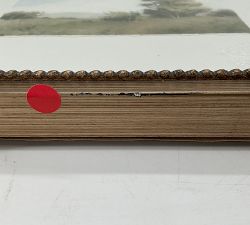 Open Box: Pastel Fields By Hannah Winters (14"W x 12"L) - Distressed Antique Silver Beaded Frame