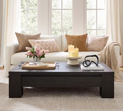 Folsom Storage Rectangular Grand Coffee Table (60")