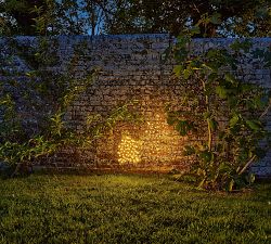 Solar Outdoor Lit Leaf LED Lawn Stakes