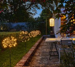 Solar Outdoor Lit Dandelion LED Lawn Stakes