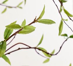 Faux Oversized Curly Willow Branch