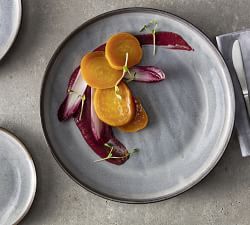 Fortessa Northern Lights 16-Piece Dinnerware Set