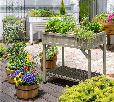 Cedar 8-Pocket Herb Garden Bed | Pottery Barn