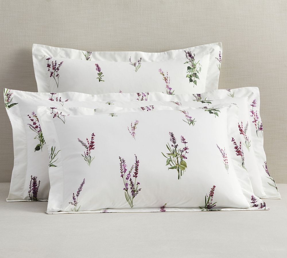 Monique Lhuillier Provence Sham by Pottery Barn