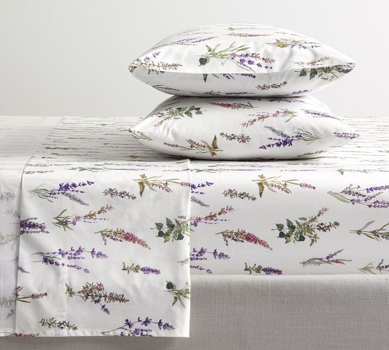 Monique Lhuillier Provence Percale Sheet Set by Pottery Barn