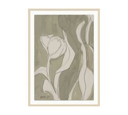 Sage Tulip Framed Print