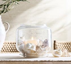 Mixed Shells Vase Filler