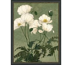 White Poppies Framed Print by Carleigh Courey