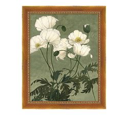 White Poppies Framed Print by Carleigh Courey