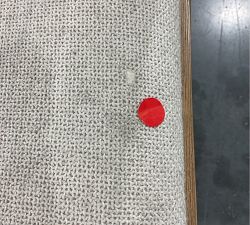 Open Box: Monty Cane Dining Side Chair - Seadrift