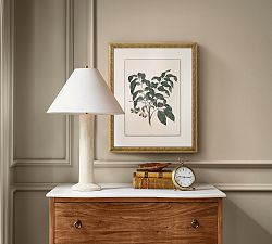 Vintage Botanical Framed Print