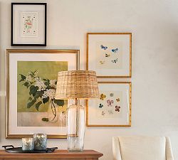 Butterfly Flurry Framed Print