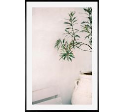 Olive Branch by Justine Milton