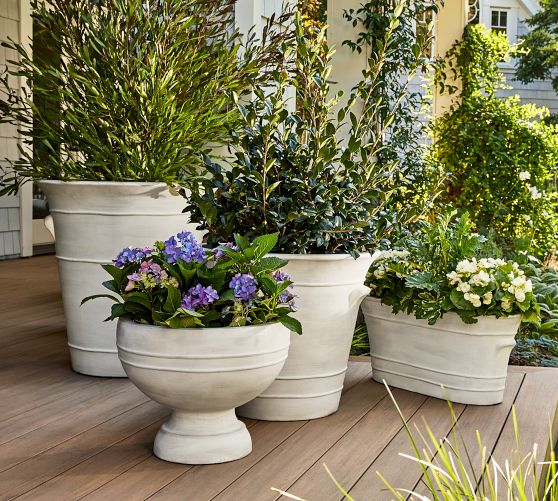 olive tree plant pots Olive Tree in Modern Deco Planter main image 0