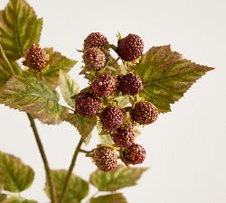 Faux Raspberry Branch