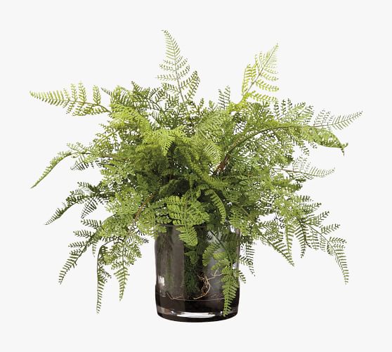 Faux Lace Fern In Glass Vase by Pottery Barn
