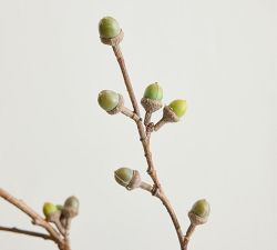 Faux Coast Oak Branch