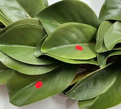 Open Box: Faux Magnolia Leaf Wreath (24") - Green