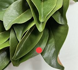 Open Box: Faux Magnolia Leaf Wreath (24") - Green