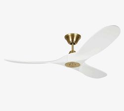 52" Rayanne Indoor/Outdoor Ceiling Fan