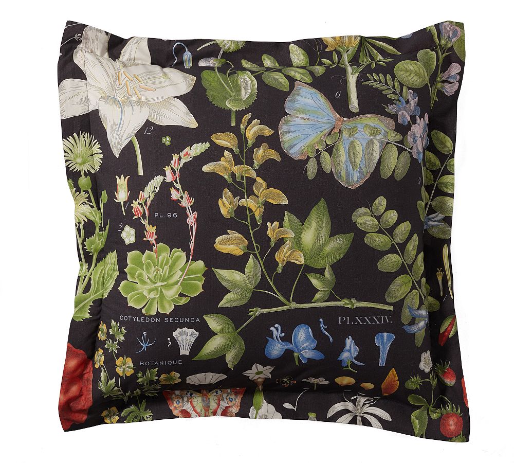 Poppy Percale Sham by Pottery Barn