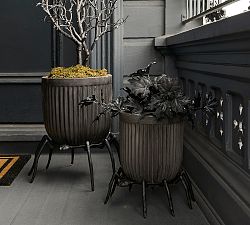 succulent concrete planter Mini Cactus & Succulent Cone Shaped Planter