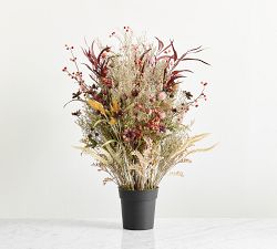 Potted Fantastical Forest Mixed Grass