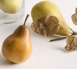 Pear Vase Filler