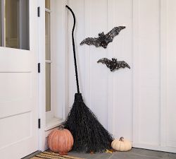Lit Broom