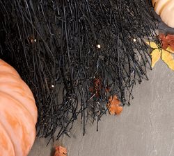 Lit Broom