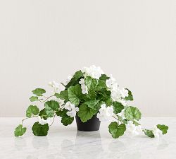 Faux Potted Geranium