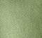 Grass Green