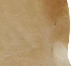 Cow Hide Rug