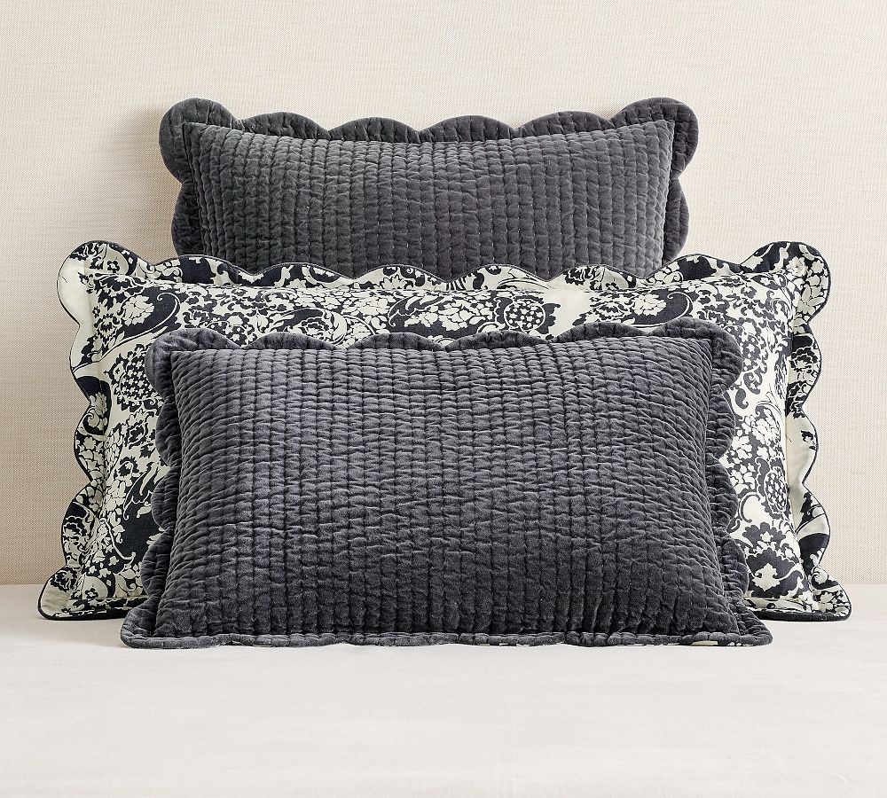 Velvet Scalloped Edge Reversible Quilted Sham by Pottery Barn