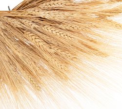 Dried Wheat Wreath