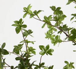 Faux Potted Gypsophilia Tree