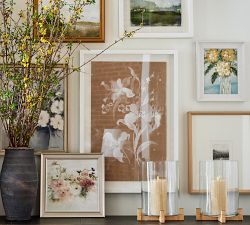 Chalk Botanical Framed Print