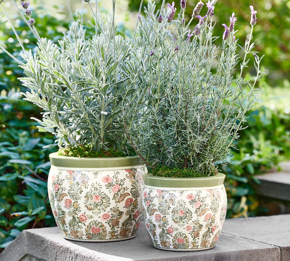 Kravet Rosehill Cachepots | Pottery Barn