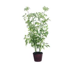 Faux Queen Anne's Lace Plant