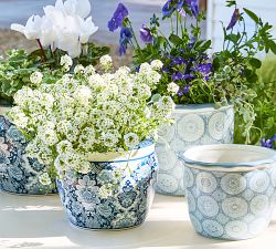 Kravet Arboretum Cachepots