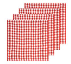 Open Box: Gingham Block Print Cotton Picnic Napkins, 20" x 20", Set of 4 - Red