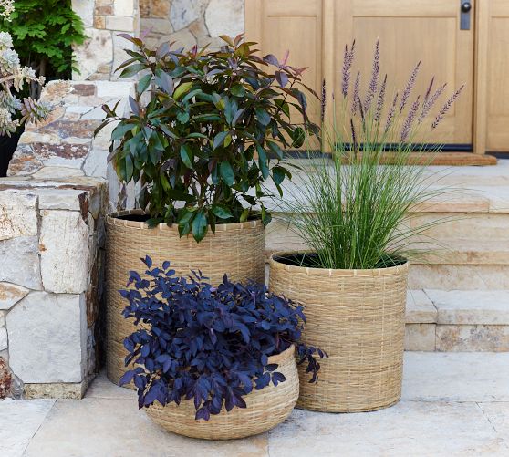 Estelle Handwoven Planters by Pottery Barn