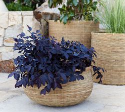 Estelle Handwoven Planters