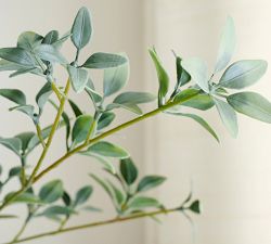 Faux Black Olive Tree