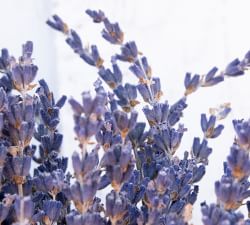Dried Lavender Wreath