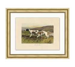 Hunting Dog Pair Framed Print